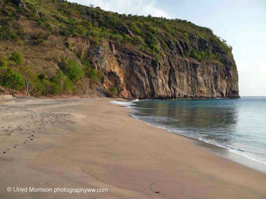 rendezvous_bay_beach_536